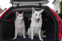 Keona & Coralie los gehts in den Urlaub